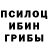 Галлюциногенные грибы MAGIC MUSHROOMS Mike Aylward