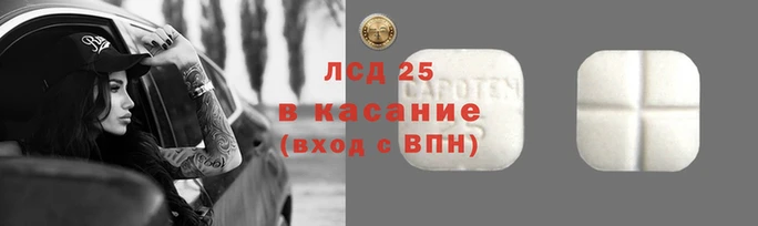 винт Бородино