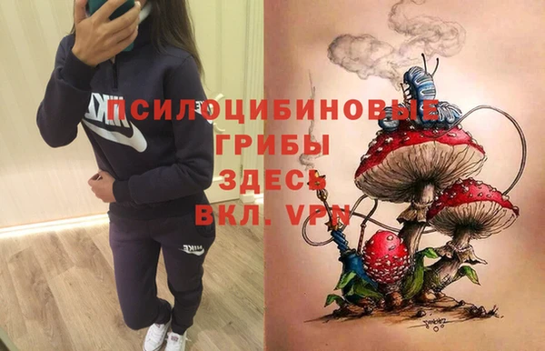 дурь Бронницы