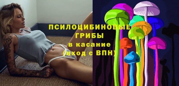 дурь Бронницы