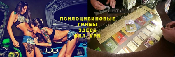 винт Бородино
