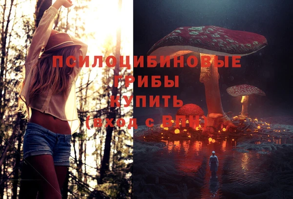 молекула духа Бугульма