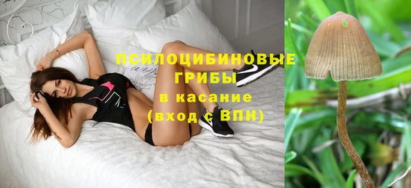 ешки Белоозёрский
