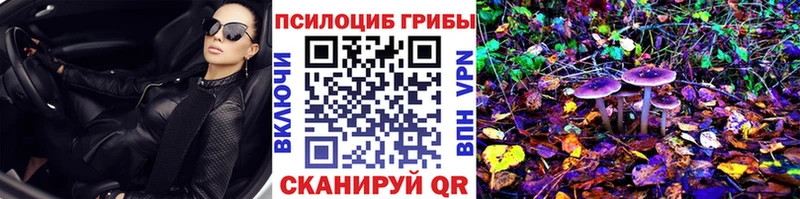 Галлюциногенные грибы Psilocybine cubensis  Волосово 