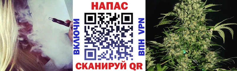 МАРИХУАНА сатива Волосово